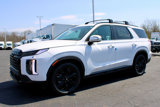 New 2025 Hyundai Palisade XRT image 4