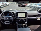 New 2025 Ford F150 XLT w/ Equipment Group 302A MID image 5