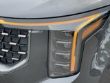 New 2025 Kia Carnival SX Prestige image 6