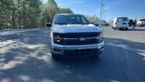 New 2025 Ford F150 XLT w/ Equipment Group 301A Standard image 2