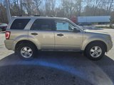 Used 2011 Ford Escape XLT w/ 203A Rapid Spec Order Code image 2