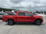 Certified 2023 Ford F150 XLT w/ Equipment Group 302A High image 2