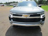 New 2025 Chevrolet Silverado 1500 LT w/ All Star Edition Plus image 4