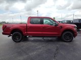 New 2025 Ford F150 XLT w/ Equipment Group 302A MID image 4
