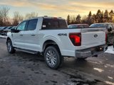 New 2025 Ford F150 XLT w/ Equipment Group 303A High image 4