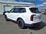 New 2025 Kia Telluride AWD image 4
