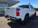 Used 2024 Chevrolet Silverado 1500 LT Trail Boss w/ Protection Package image 5
