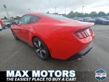 New 2025 Ford Mustang GT Premium w/ 60th Anniversary Package image 6
