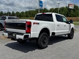 New 2025 Ford F250 Platinum image 3