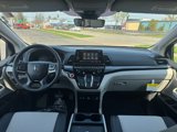 New 2025 Honda Odyssey Elite image 5