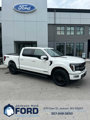 New 2025 Ford F150 Platinum image 2