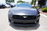Used 2024 Ford Mustang Premium image 2