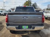 New 2025 Ford F150 XLT w/ Equipment Group 302A MID image 5