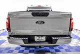 Used 2024 Ford F150 STX w/ STX Black Appearance Package image 4