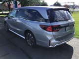 New 2025 Honda Odyssey Elite image 5