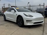 Used 2020 Tesla Model 3 Standard Range Plus image 3
