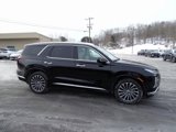 New 2025 Hyundai Palisade Calligraphy image 4