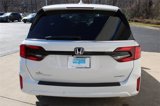 New 2025 Honda Odyssey Sport-L image 4