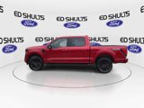 New 2025 Ford F150 XLT w/ Equipment Group 303A High image 5