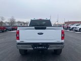 Used 2023 Ford F150 XLT image 4