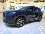 New 2025 INFINITI QX60 Autograph w/ Cargo Package image 3