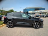 Certified 2022 Ford Escape SEL w/ SEL Stealth AWD Package image 4