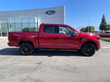 New 2025 Ford F150 XLT image 3