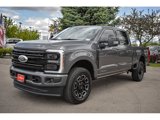 New 2025 Ford F250 Platinum image 3