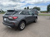 Used 2022 Ford Escape SE w/ Convenience Package image 6
