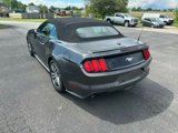 Used 2016 Ford Mustang Premium image 3