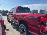 New 2025 Ford F250 Platinum image 4