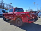 New 2025 Ford F150 STX w/ STX Black Appearance Package image 4