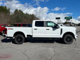 Certified 2024 Ford F250 XL w/ STX Appearance Package image 2