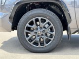 New 2025 Toyota Tundra Platinum image 5