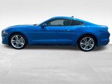 Used 2021 Ford Mustang Premium w/ Equipment Group 201A image 2