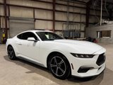 Used 2024 Ford Mustang Coupe image 2