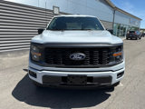 New 2025 Ford F150 STX image 3
