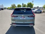 New 2026 Honda CR-V TrailSport image 4
