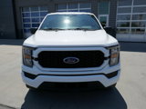 Certified 2023 Ford F150 XL w/ STX Appearance Package image 2