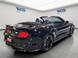 Used 2019 Ford Mustang GT Premium w/ California Special Package image 4