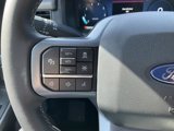 New 2025 Ford F150 XLT image 6