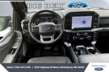 Certified 2023 Ford F150 XLT w/ Equipment Group 302A High image 5