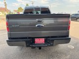 Used 2013 Ford F150 FX4 w/ Luxury Equipment Group image 5