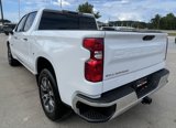 Used 2020 Chevrolet Silverado 1500 LT w/ Texas Edition image 5