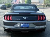 Used 2022 Ford Mustang Premium w/ Equipment Group 201A image 3