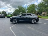 New 2025 Audi Q8 Prestige image 4