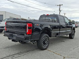 New 2025 Ford F350 Platinum w/ Snow Plow Prep Package image 4