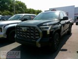 New 2025 Toyota Tundra Platinum image 5