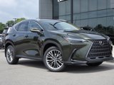 New 2026 Lexus NX 350 AWD w/ Luxury Package image 2