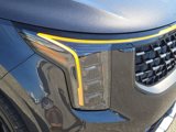 New 2025 Kia Carnival SX Prestige image 5